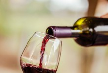 Tradiční vinobraní v Mělníku
