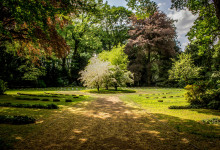 Botanická exkurze do anglického parku v Dobříši